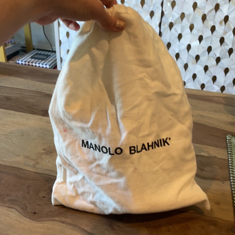 Manolo Blahnik Bb Python Pumps - image 7